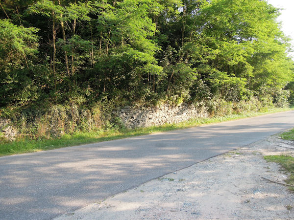 I binari costeggiano la strada di Pianca