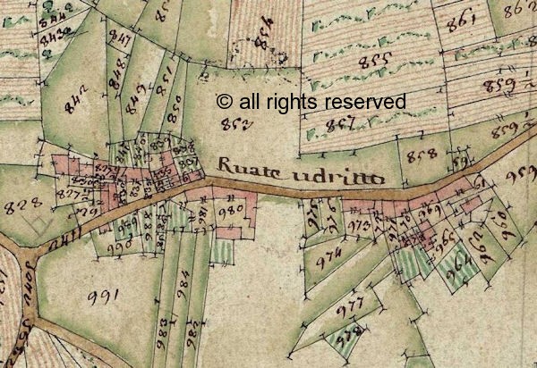 Ruate Udritto