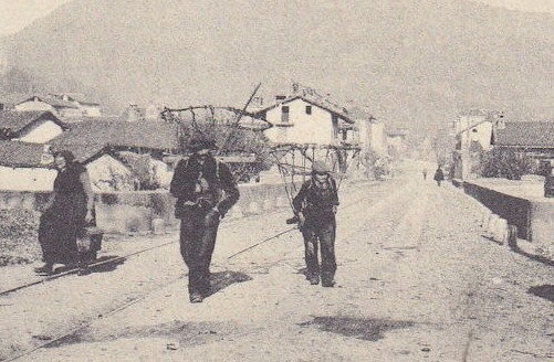 gerle per il trasporto di fieno e foglie